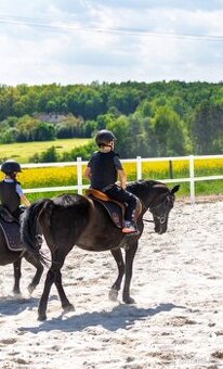 Spolehlivá klisna New Forest pony