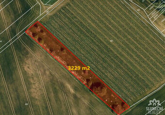 Prodej zahrady 3229 m², Sušice