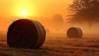 Letošní seno z horské louky