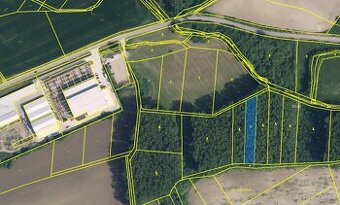 Prodám lesní pozemek v k.ú. Kdanice - 1