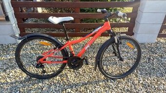 Dětské kolo - dívčí, chlapecké, 24"