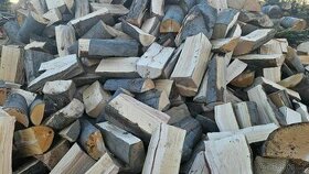 Bukové palivové dřevo - 1