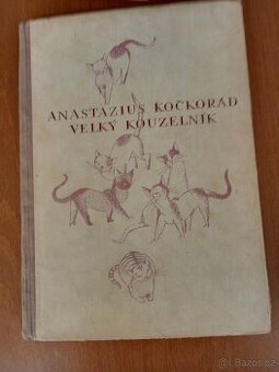 Anastazius Kočkorád velký kouzelník - 1.čes. vydání - 1