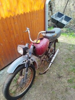 Jawa mustang