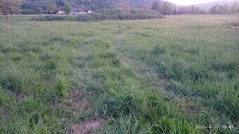 Služby: Mulčování zahrady, sady, pastviny, kolem staveb