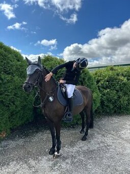 Top Pony kobylka