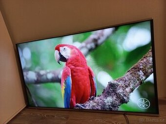 Panasonic 48" 124 cm Youtube Netflix Wifi