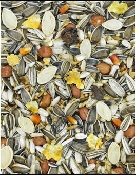 Velký papoušek s ořechy. 10 kg.