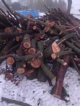 Prodám palivové drevo - 1