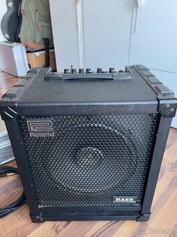 ROLAND CUBE 100 BASS