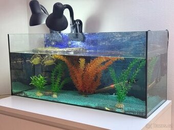 Vodní želvy + komplet vybavení