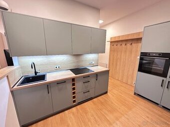 Pronajmu byt 1kk, Družstevní ulice