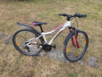 Kolo Author a-matrix 26