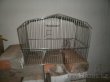 Prodám klec