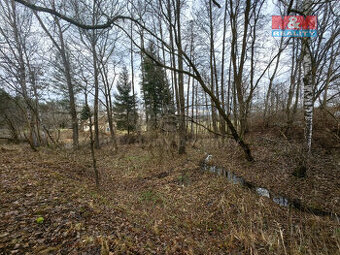 Prodej louky, 629 m², Borohrádek