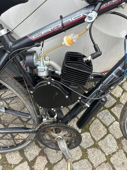 Motokolo