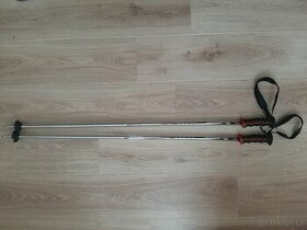 Lyžařské hůlky Blizzard 110 cm
