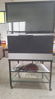 Televize