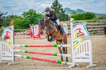 Pony B