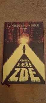 Pravda leží zde - Lindsey Klingele