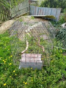 Klec pro papouška 2