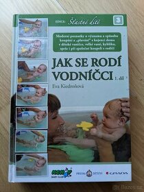 Kiedronova Jak se rodí vodnicci - 1
