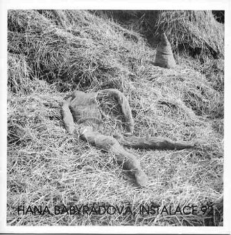 Jana Babyrádová, instalace 92 - 1