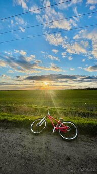 Dirt mtb