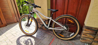 SCOTT Scale 24 Disc