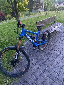 Canyon Torque 2018
