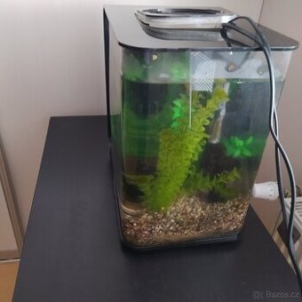 Akvárium biorb 60 litů