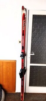 pánské sjezd.lyže SALOMON Equipe series 1s Prolink