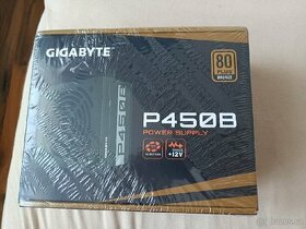 GigaByte P450B