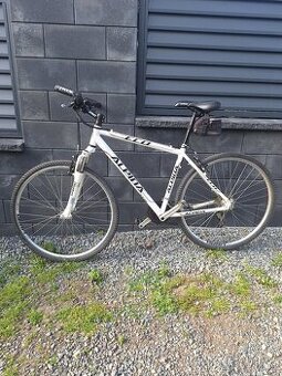 Krosové kolo Alpina 19 a 21