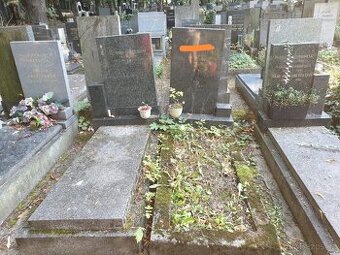 Hrobové místo Olšany - 1