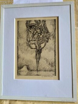 Nabízím grafický list v rámu" Oko v růži s hradem"