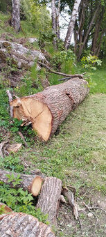 Dubová kulatina