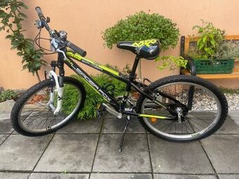 Leader Fox spider 24