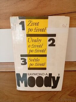 Život po životě Moody