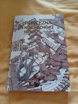 Princezna z nekonečného hradu