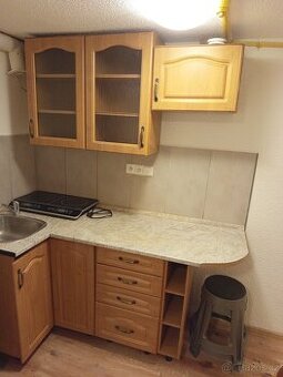 Byt 1+1 (cca. 45 m2)+ zahrada, Pkzeň, Slovany