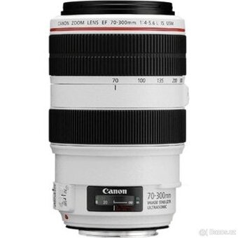 Canon EF 70-300mm f/4-5.6L IS USM Lens