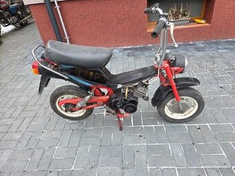 MOKIK Babetta - STELLA riga /1/