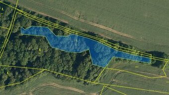 Podíl 1/24 lesního pozemku - 1