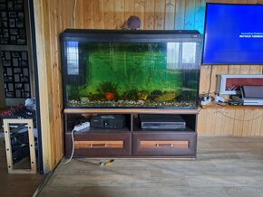 Akvarium i s rybami