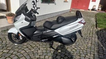 Maxsim 600