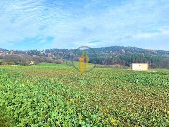Prodej zemědělských pozemků na okraji obce Holín - Prachov
