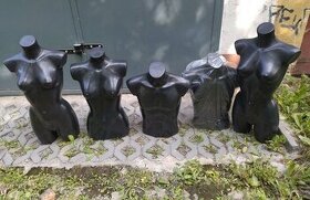 Torza figurín