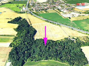 Prodej lesa, 4332 m², Držovice