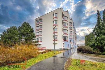 Převod dr. podílu, ostatní/garáž, 15 m2, Dašická 1755, 53003